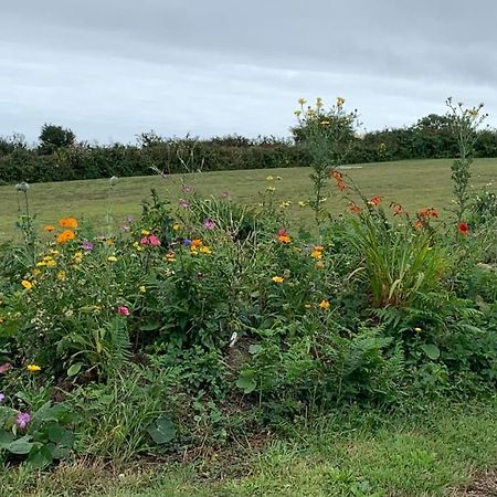 LudgvanPenzance, Private Annexe With Beautiful Views.公寓 外观 照片